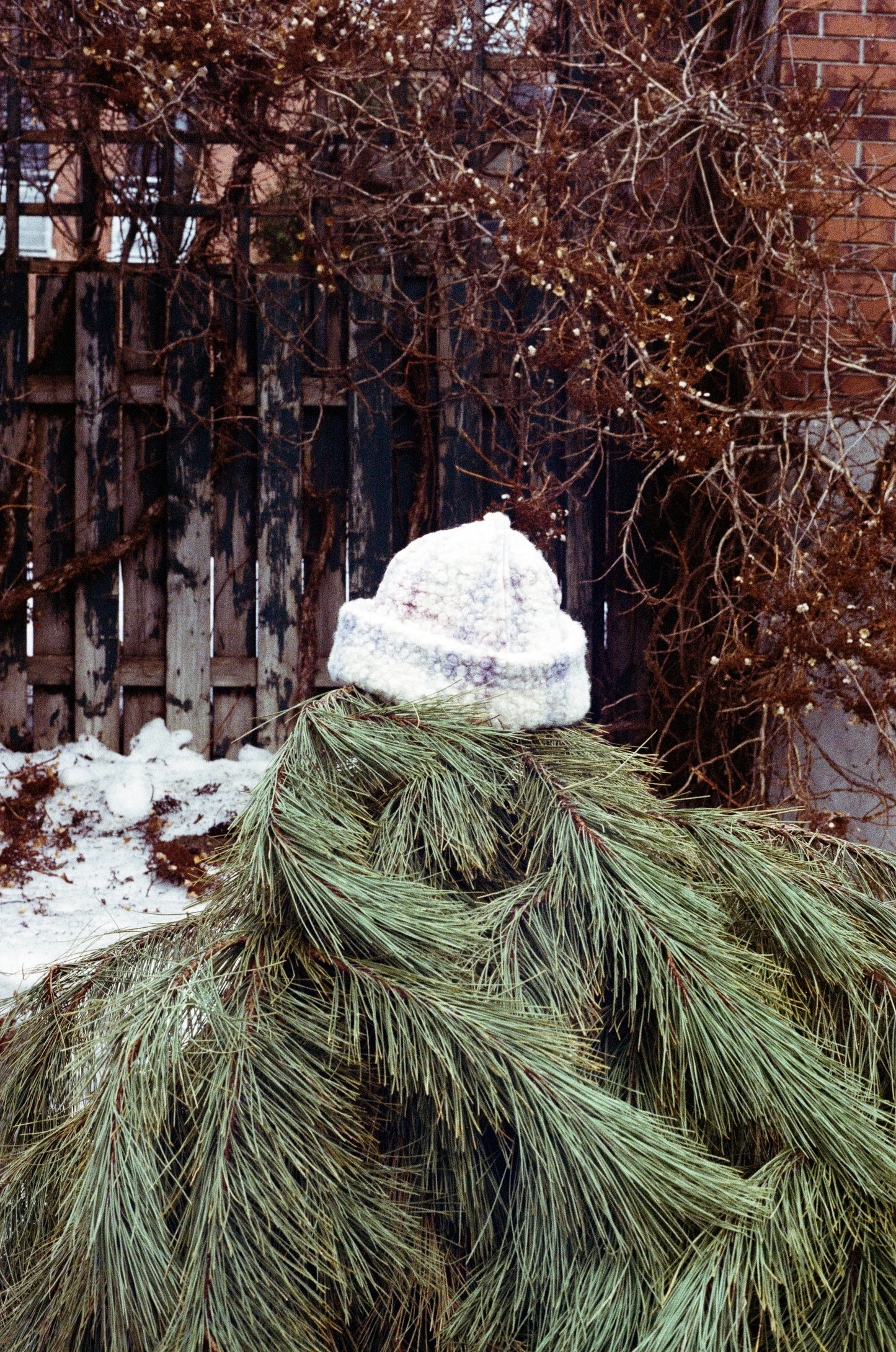 Tuque Carreauté Lilas